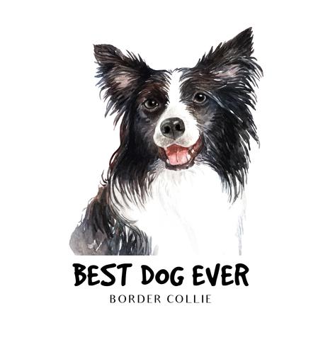 akvarell Border Collie av en hund. vektor