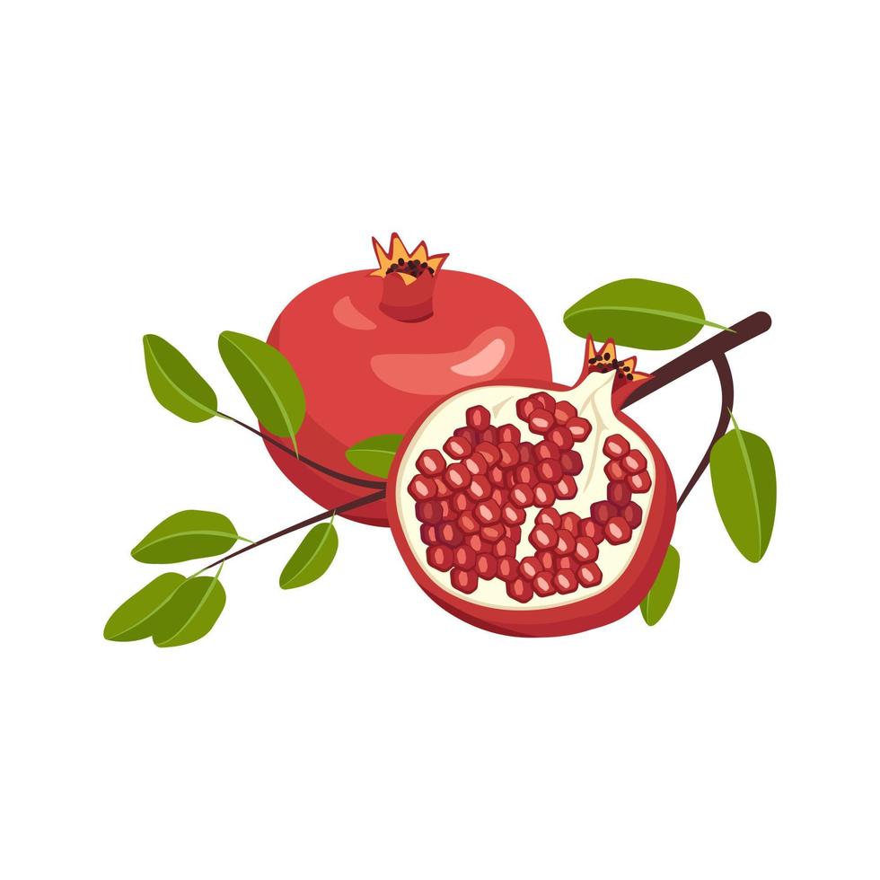 ikon av hela och halva röda granatäpple med frön och gren med löv. friska frukter för rätt näring. söt mat för diet. platt vektor illustration