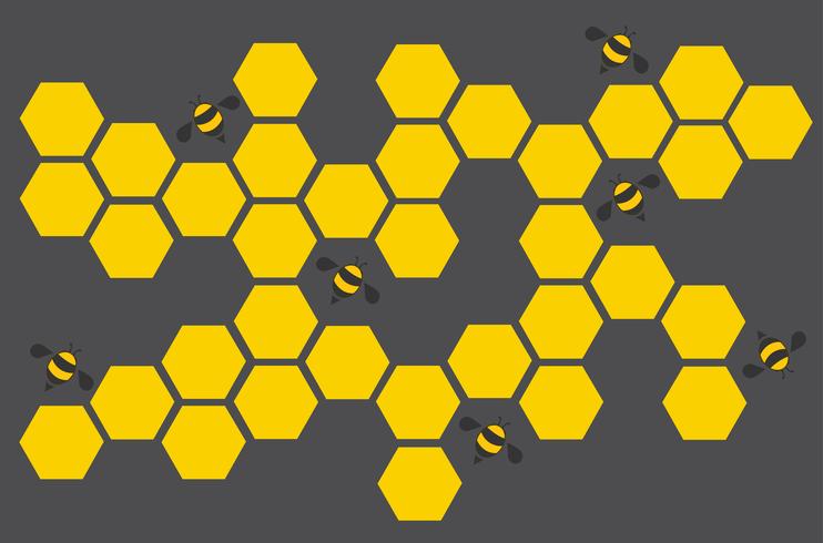 Hexagonbienenstock-Designkunst und Raumhintergrund vektor