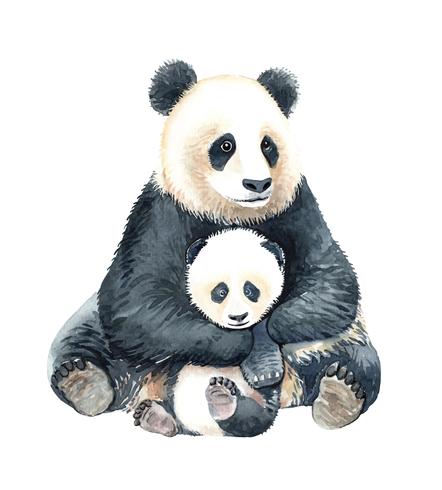 Akvarell panda och baby panda. vektor