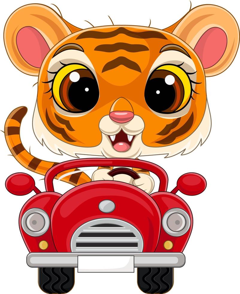 karikaturbabytiger, der rotes auto fährt vektor