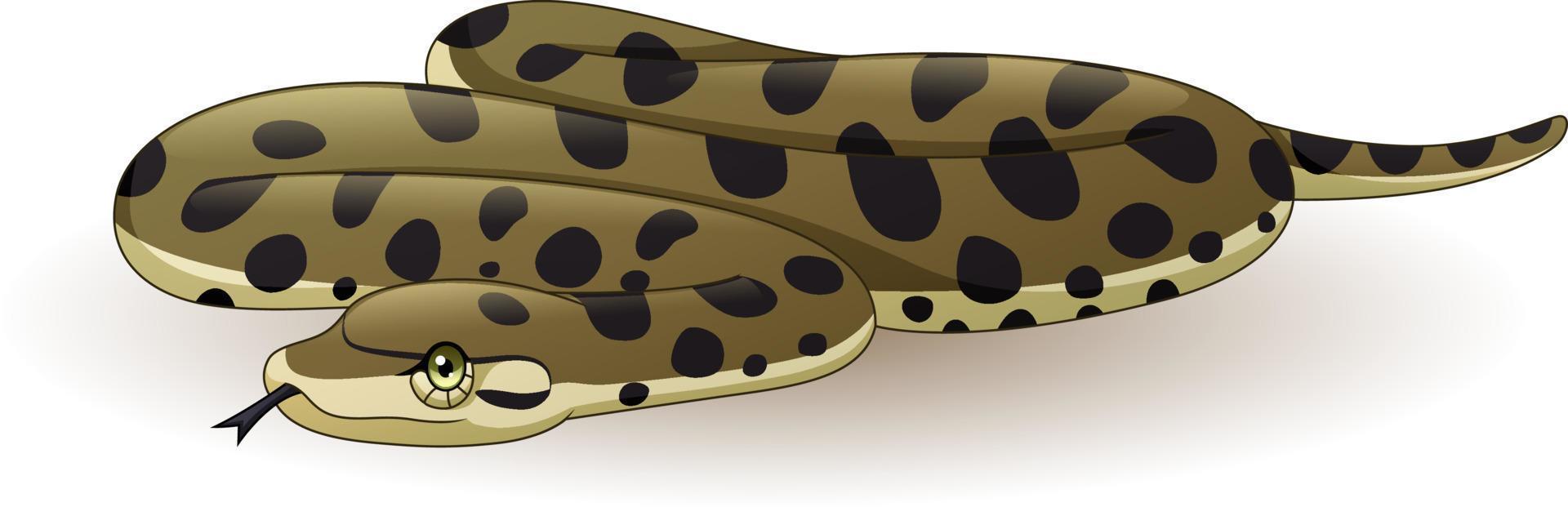 tecknad anaconda orm på vit bakgrund vektor