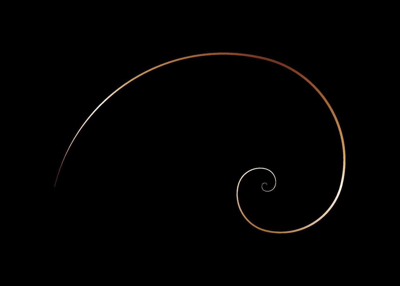 Goldener Schnitt. Fibonacci-Spirale, goldener Schnitt, göttliche Proportion, goldene Nautilus-Muschel mit Spirale, Vektorillustration isoliert auf schwarzem Hintergrund vektor