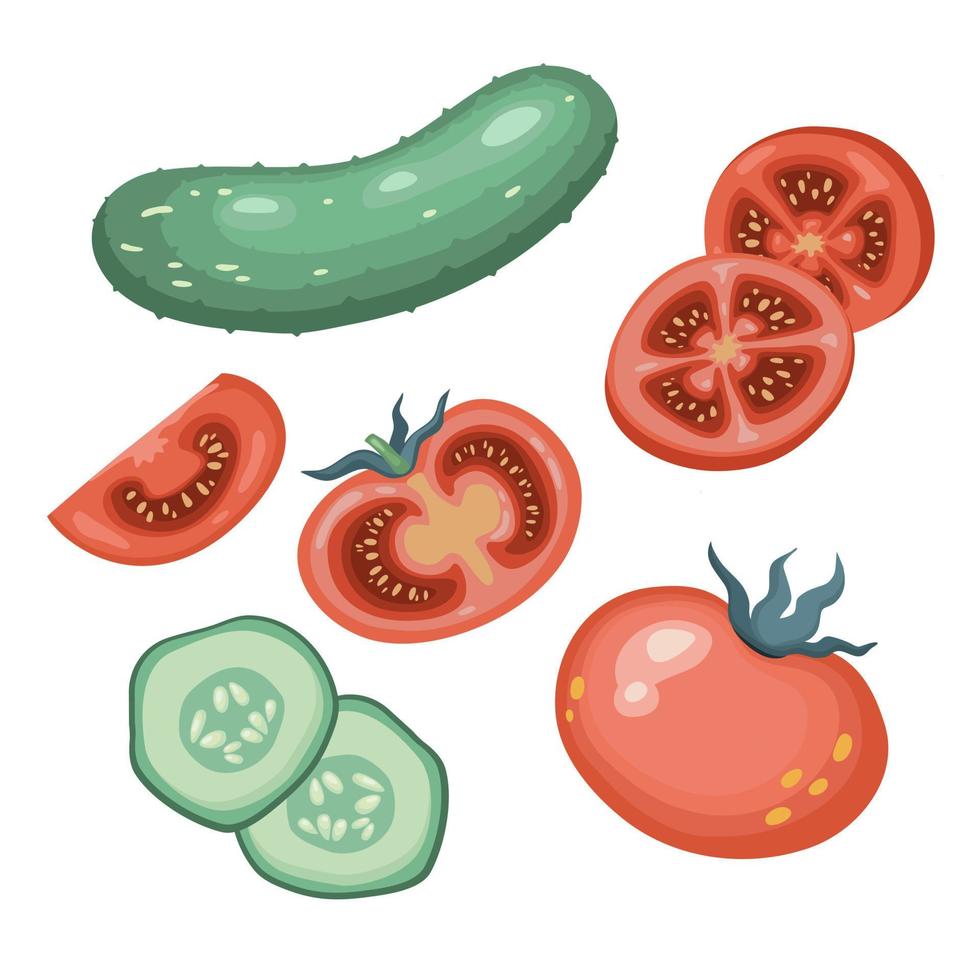 Satz Gurken und Tomaten. ganze Gurke und Tomate, halb, in Scheiben geschnitten. frisches Bio-Gemüse. gesunde, diätetische, vegetarische Kost. Vektorgrafiken isoliert auf weißem Hintergrund vektor