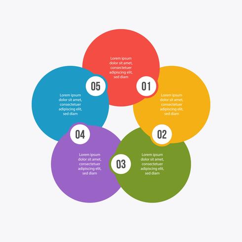 Cirkeldiagram, cirkel infografiskt eller cirkulärt diagram vektor