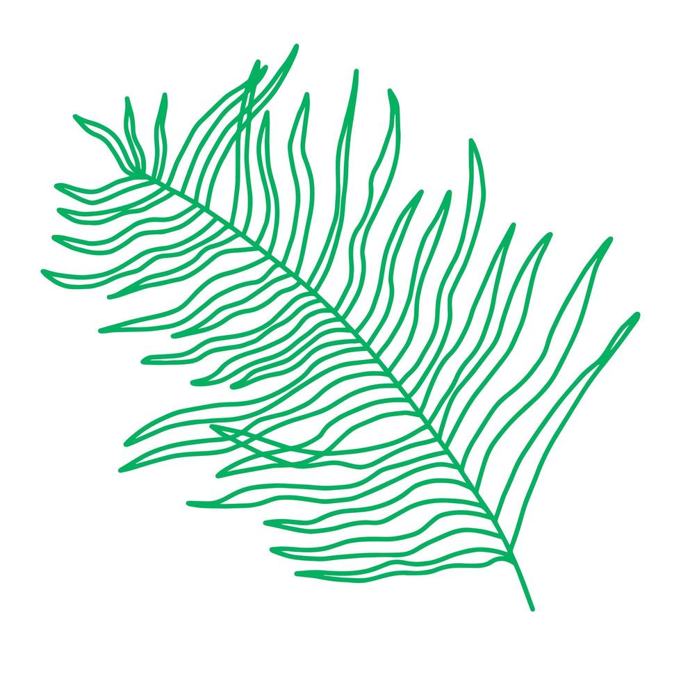 palmblad på en vit bakgrund. vektorgrafik. ritad för hand vektor
