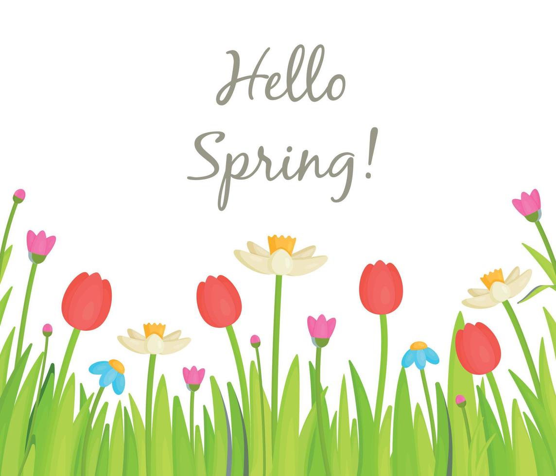 Hallo Frühling. der Beginn einer warmen Pore. Vektor-Illustration einer Blumenwiese. Herzlichen Glückwunsch zum 8. März. vektor