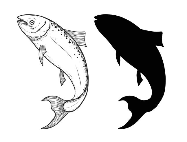 Fischvektor eigenhändig Zeichnung vektor