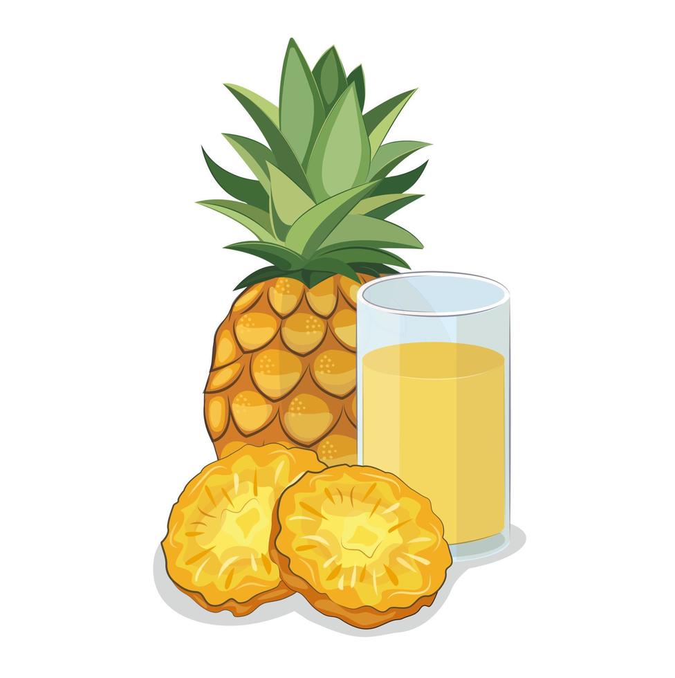 ananas geschnitten saft exotisch lecker obst vitamingetränk organisch gesundheit frisch tropisch set vektor