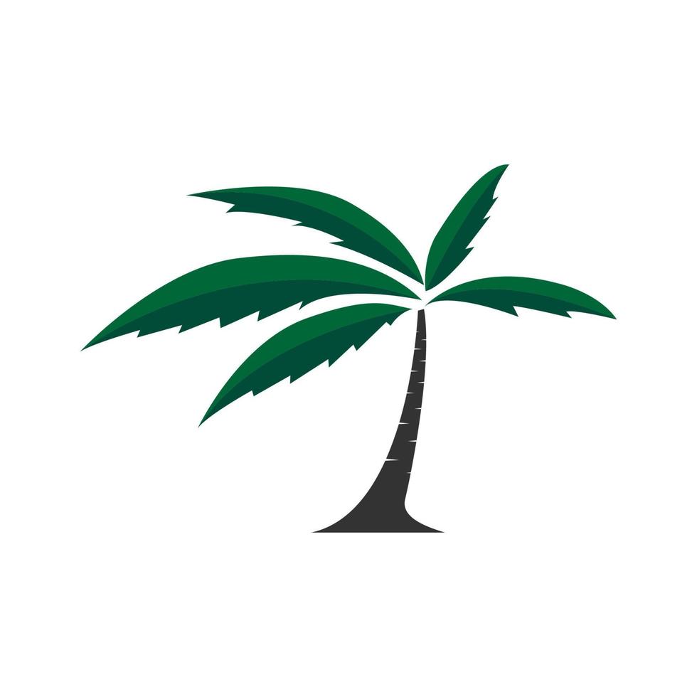 Kokosnussbaum oder Palme modernes flaches Logo Symbol Symbol Vektorgrafik Design vektor