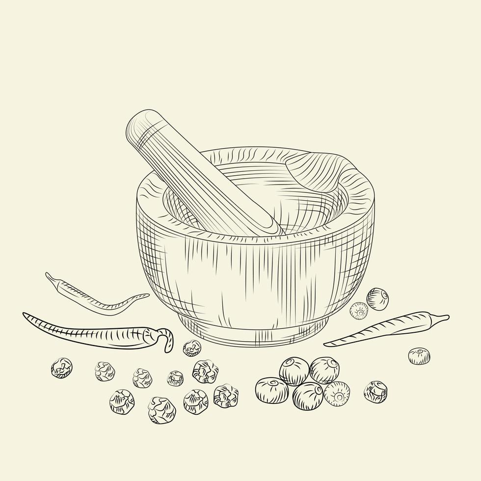 mortel och mortelstöt koncept. peppar set. mala kryddor och livsmedelsingredienser. vektor