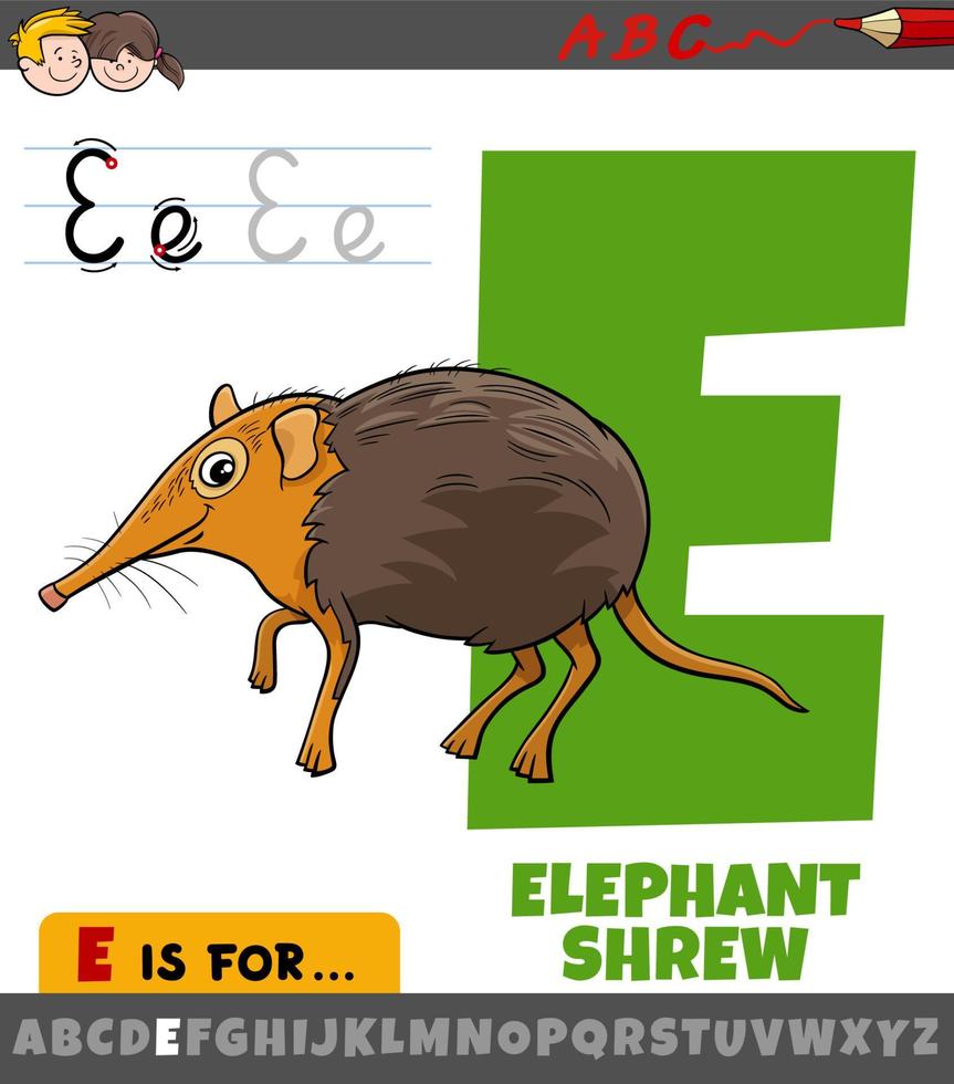 bokstaven e från alfabetet med tecknad elefant shrew djur karaktär vektor