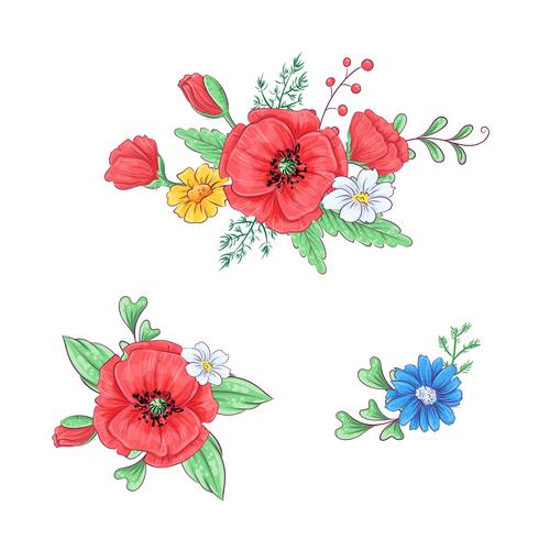 Satz rote Mohnblumen und Gänseblümchen. Handzeichnung. Vektor-illustration vektor