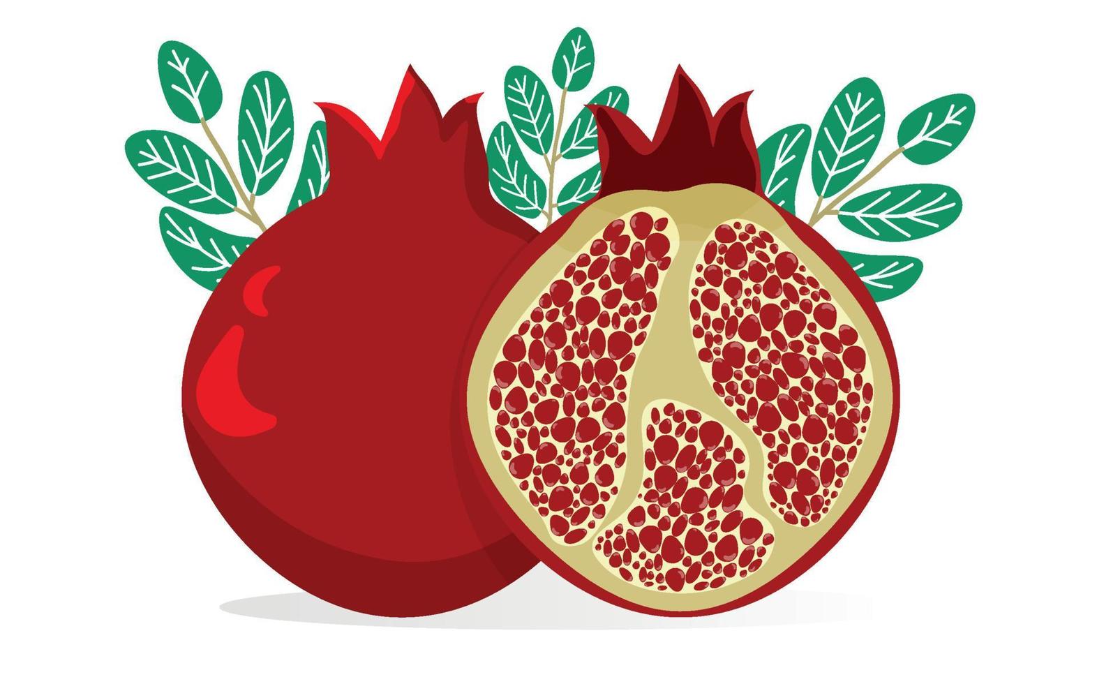 granatäpple. granatäpple är en hel frukt och hälften skuren. vektor illustration