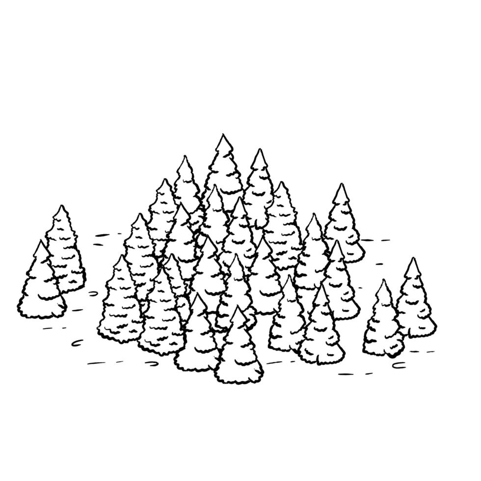 julgranar i skogen. naturligt landskap för retrokartor i gravyrstil. handritad kontur tecknad illustration vektor