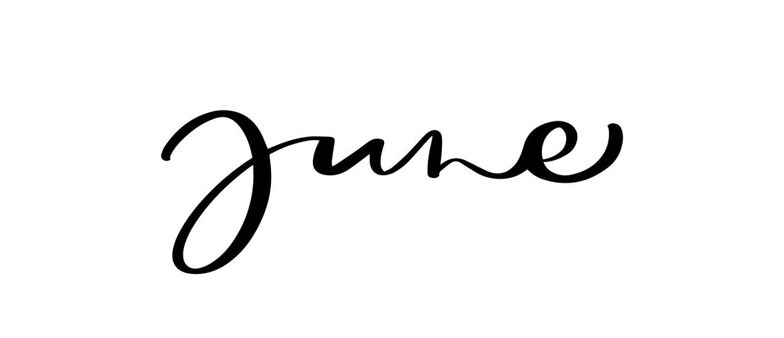Handgezeichnete Typografie Schriftzug Text Juni. Isoliert auf dem weißen hintergrund. Spaßkalligraphie für Gruß- und Einladungskarte oder T-Shirt Druckdesignkalender vektor