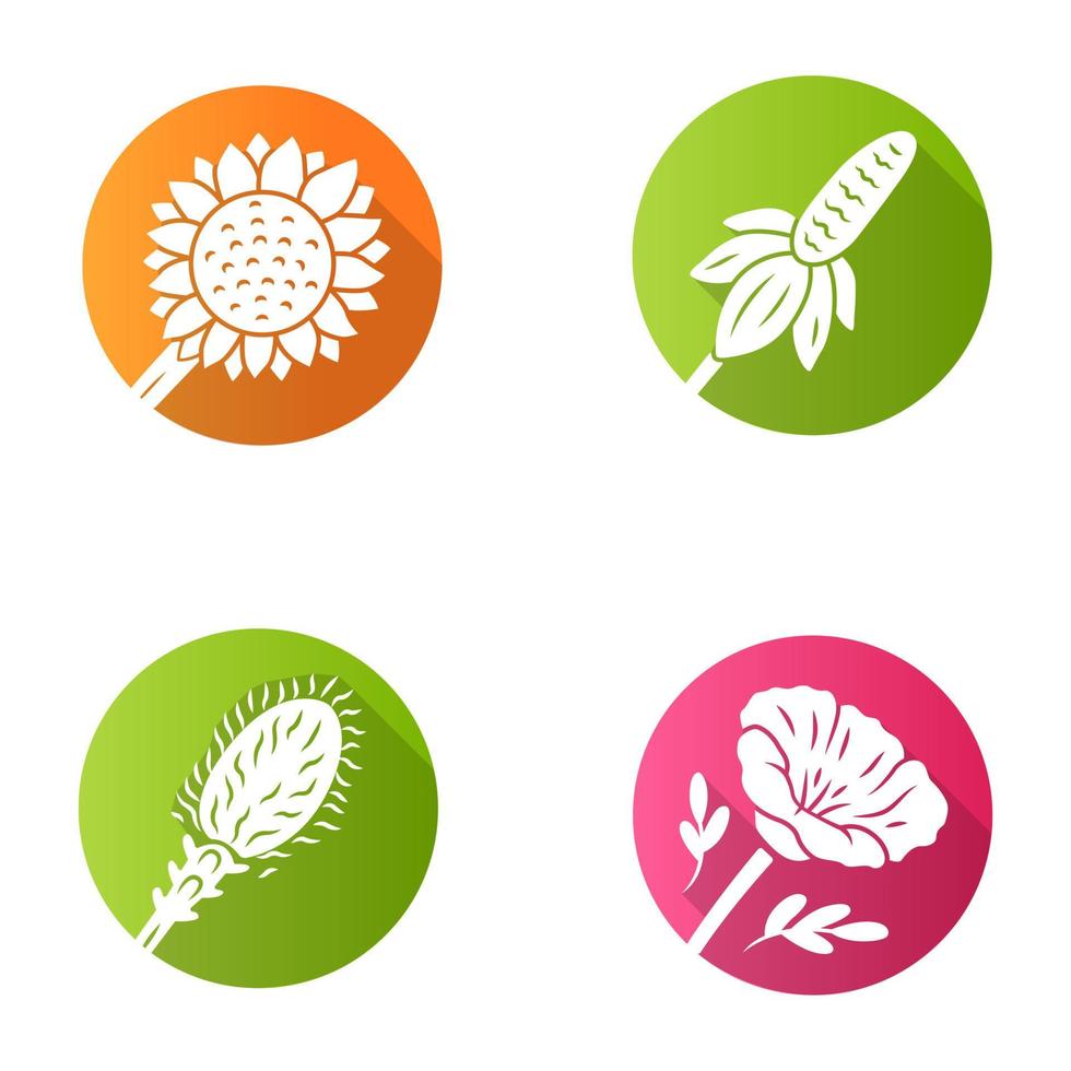 wilde Blumen flaches Design lange Schatten-Glyphen-Symbole gesetzt. Helianthus, Kalifornischer Mohn, mexikanischer Hut, Liatris. blühende Wildblumen, Ackerkraut. Frühlingsblüte. Vektor-Silhouette-Illustration vektor