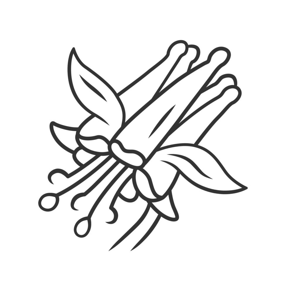 Lineares Symbol für purpurrote Akelei. Akelei formosa. blühende Wildblume. Frühlingsblüte. rote Akelei. wilde krautige Pflanze. dünne Liniendarstellung. Kontursymbol. Vektor isoliert Umrisszeichnung