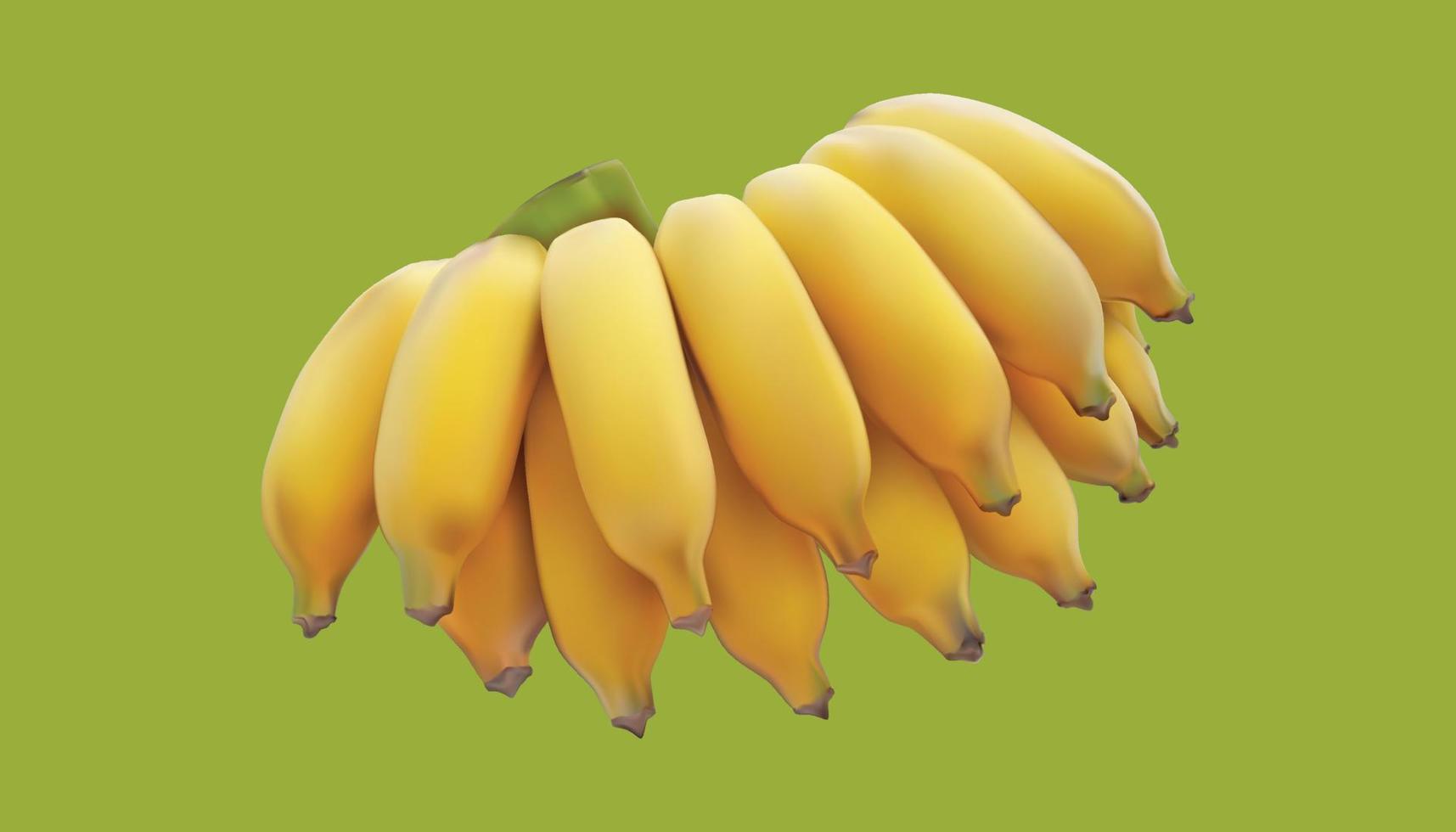 realistisch eine gruppe gelb reife bananenfrucht umgekehrte seite vide. Vektorillustration eps10 vektor