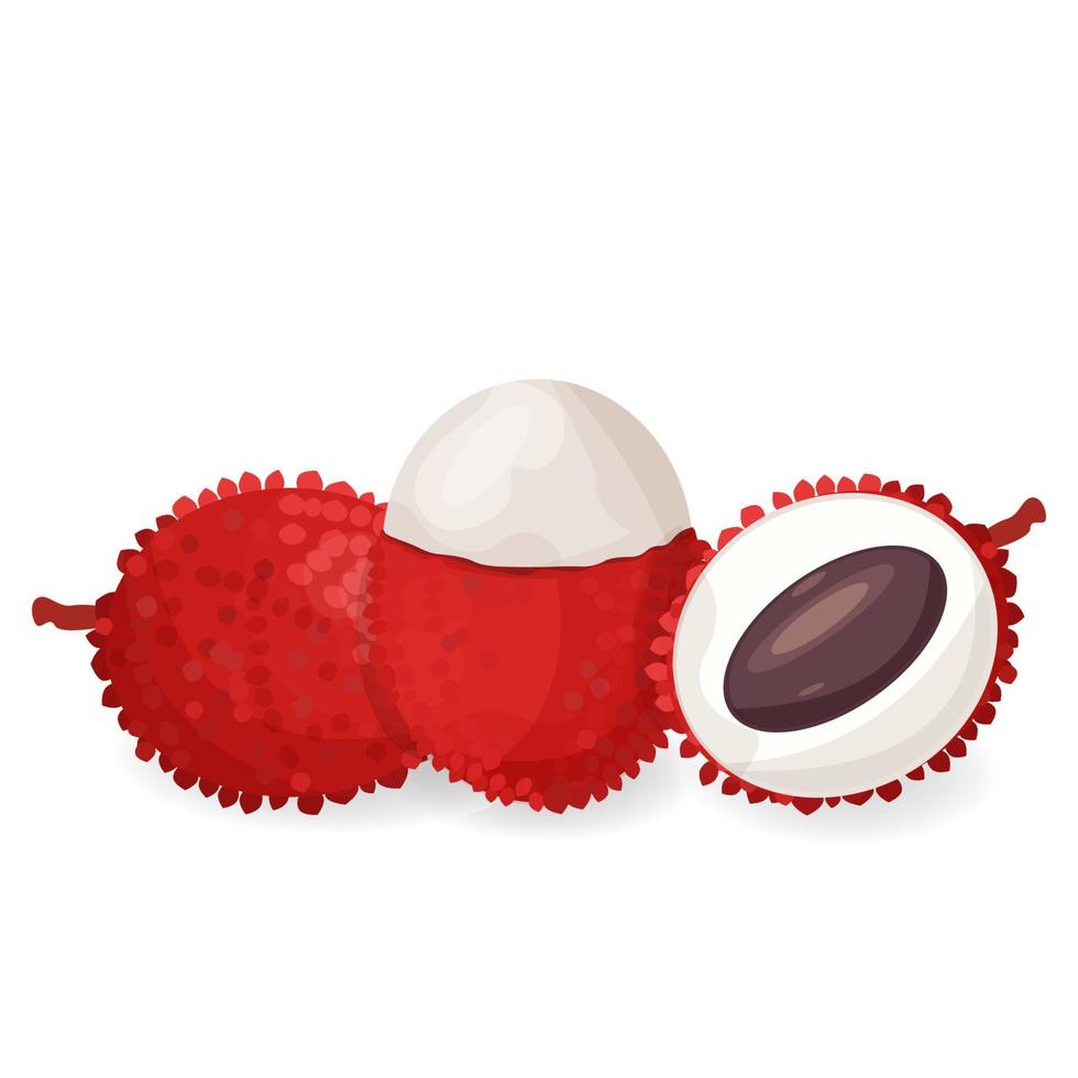 uppsättning vyer av litchi frukt isolerad på vit bakgrund lager vektorillustration. detaljerad ingrediens, rund, färgglad grafisk clipart. vektor