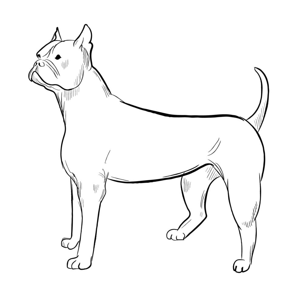chongqing hund isolerad på vit bakgrund. vektor