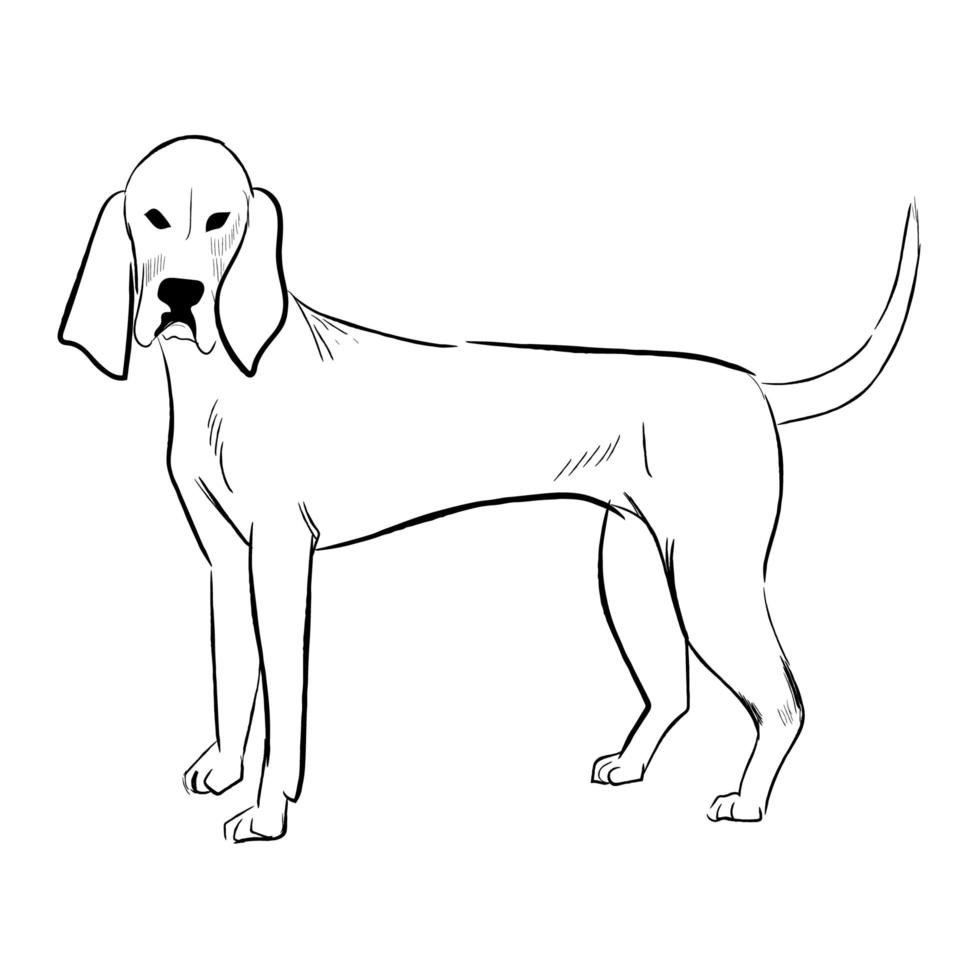Porzellanhund lokalisiert auf weißem Hintergrund. vektor