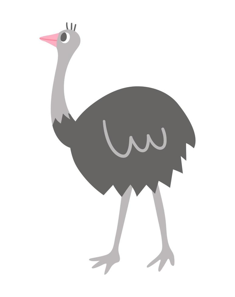 Vektor-Strauß-Symbol isoliert auf weißem Hintergrund. niedliche afrikanische vogelillustration für kinder vektor