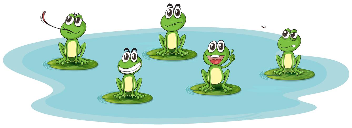 ein Frosch und Wasser vektor