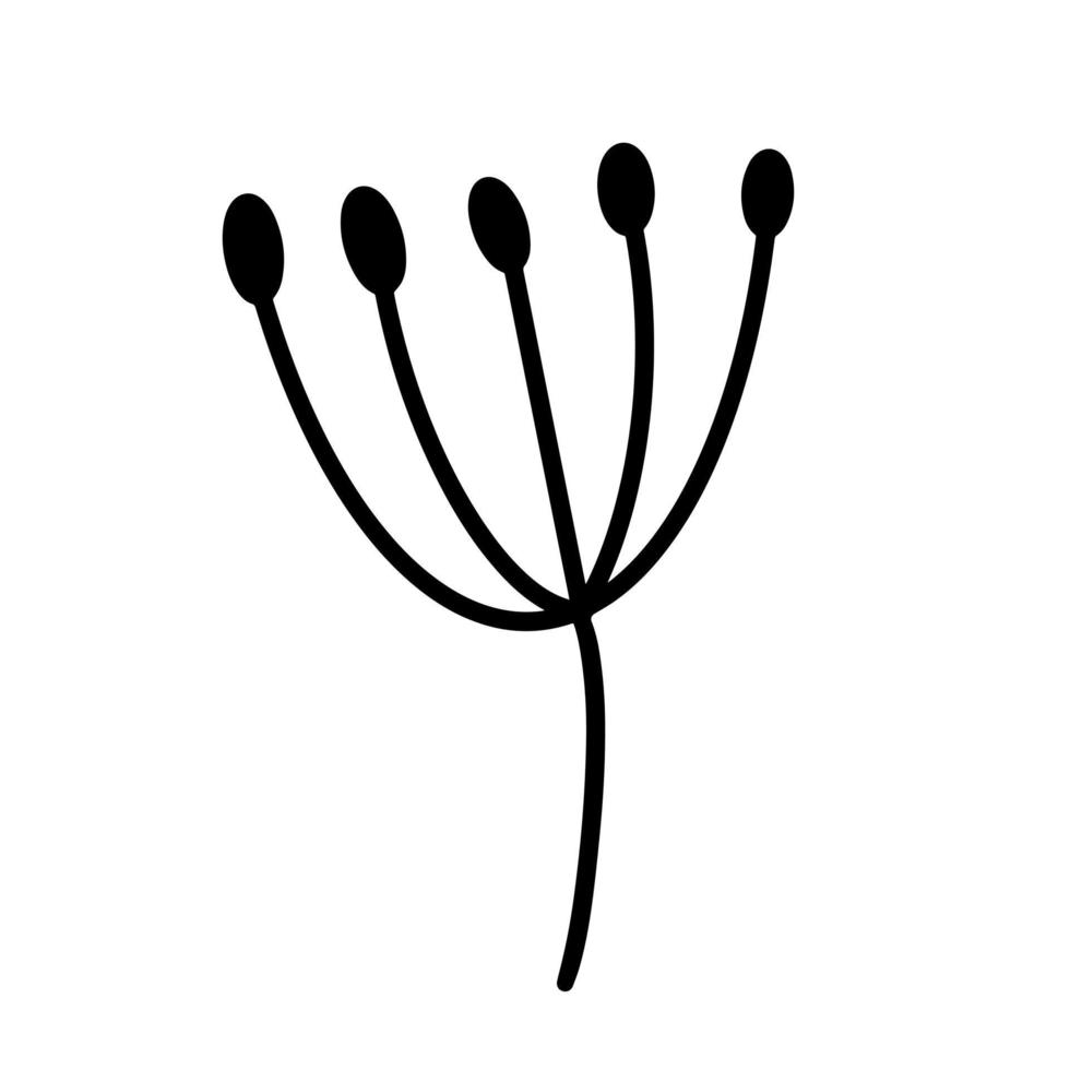 Pflanze mit Regenschirm-Blütenstand-Vektorsymbol. hand gezeichnete illustration lokalisiert auf weißem hintergrund. Silhouettenzweig mit runden Beeren. Botanische Skizze, monochrome Cliparts für Dekoration, Design vektor