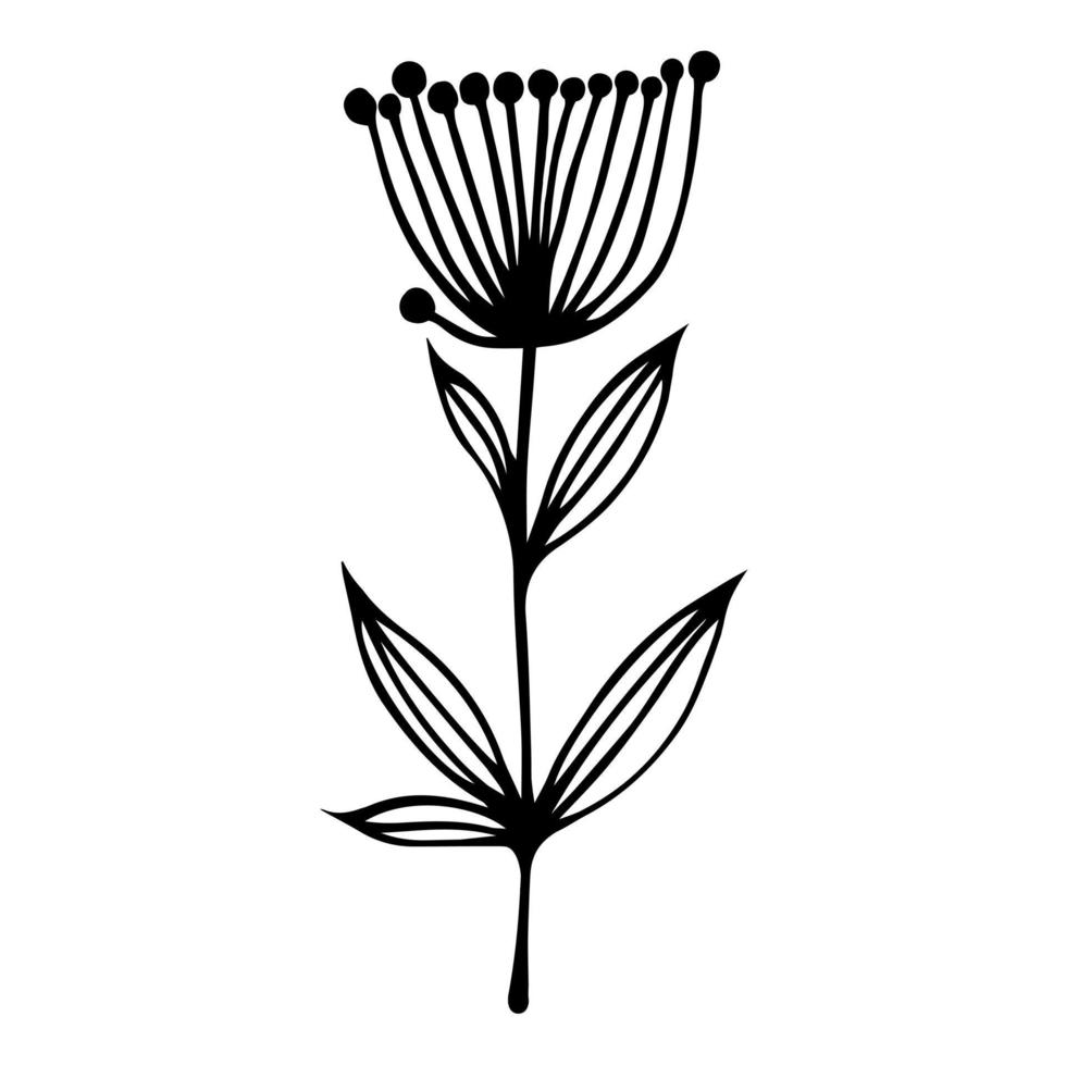 Vektorsymbol für Feldpflanzen. von Hand gezeichnete Illustration lokalisiert auf weißem Hintergrund. Silhouette einer Blume mit lang geäderten Blättern und einem Blütenstand mit Beeren. Botanische Skizze. monochromes Konzept. vektor