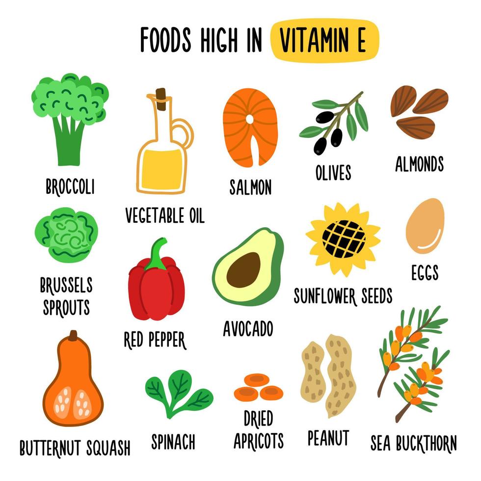 Lebensmittel mit viel Vitamin E. Quelle für Vitamin E. flache vektorkarikaturillustration. Obst, Gemüse, Nüsse, Öl und Fisch. gesunde Lebensweise und Ernährung vektor