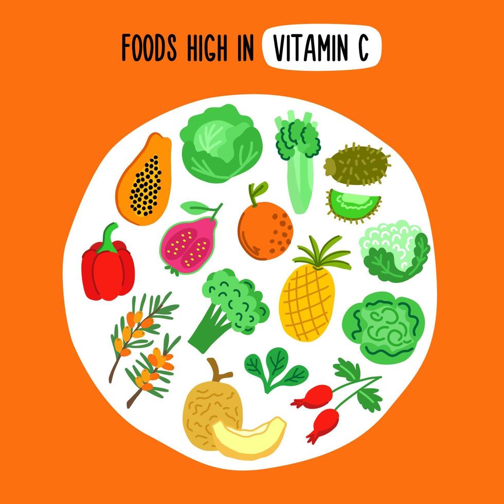 obst und gemüse reich an vitamin c. diätetisches Lebensmittel mit Ascorbinsäure. Reihe von vegetarischen Lebensmitteln. gesunder Lebensstil. vektor