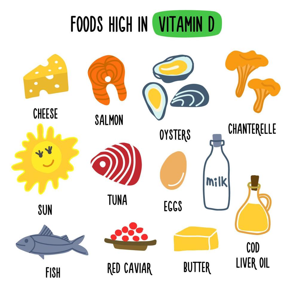mat som innehåller mycket d-vitamin. vektorillustration med hälsosam mat rik på vitamin d. insamling av ekologisk mat vektor