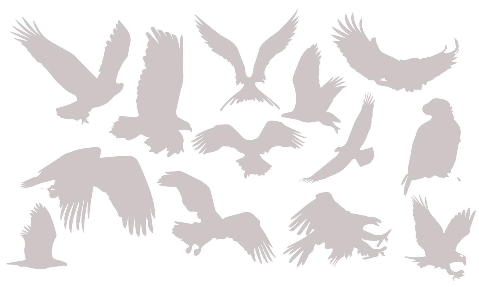 eagles silhouette vektor illustration design