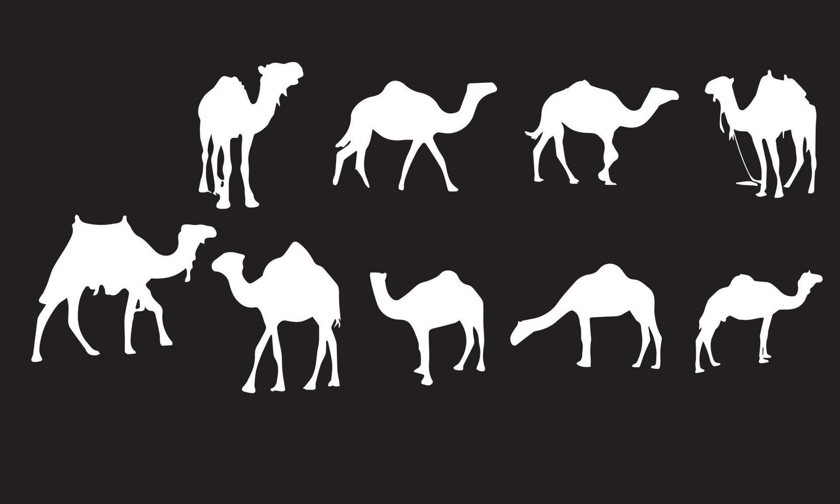 kamel vektor illustration design samling