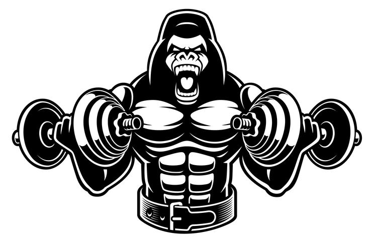 Vektor illustration av en gorilla bodybuilder med hantlar