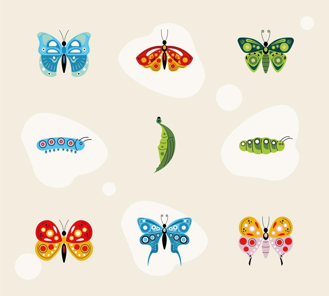 nio fjärilar och larver vektor