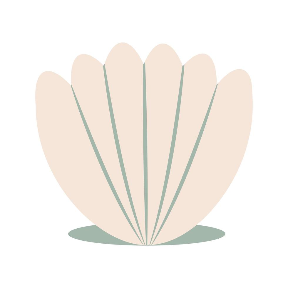 vektor illustration av snäckskal i tecknad platt stil. conch isolerad på vit bakgrund