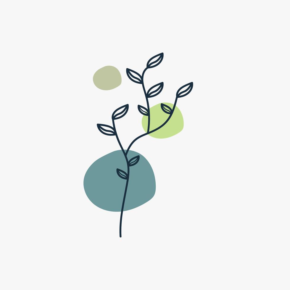Waldfarn Eukalyptus Kunstlaub natürliche Blätter Kräuter im Linienstil. elegante Illustration der dekorativen Schönheit für Designvektorblume botanisch vektor