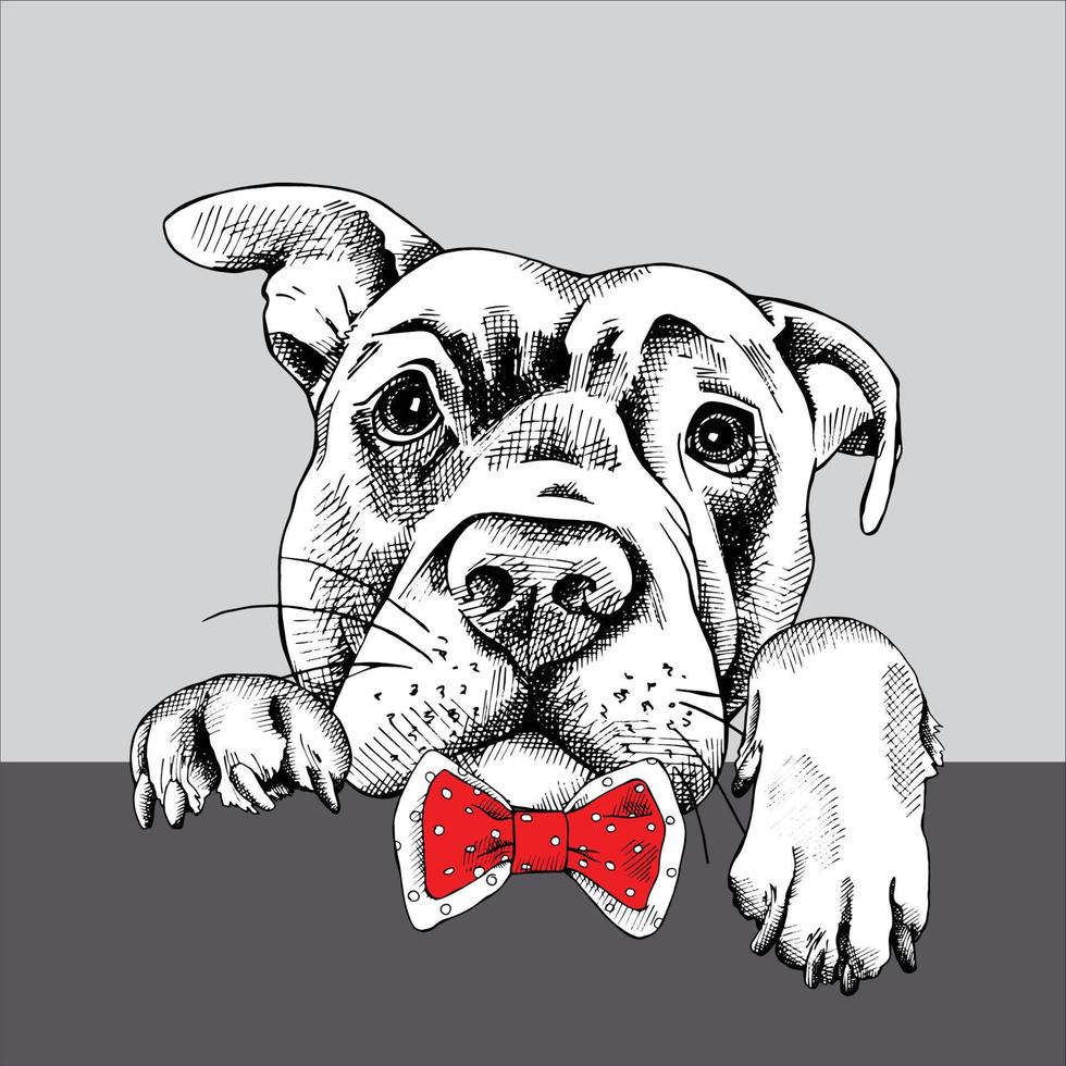 vektorbild av en hund svartvitt. designstil. djur. konst. symbol. logotyp. illustratör. på vitt vektor