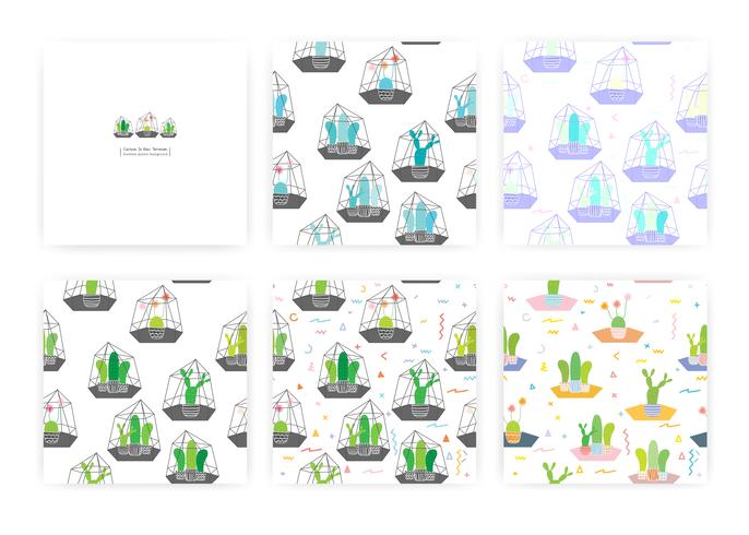 Sats av sömlösa mönster med kaktusar I glasterrarier. Bakgrunds illustrationer för presentförpackning. vektor