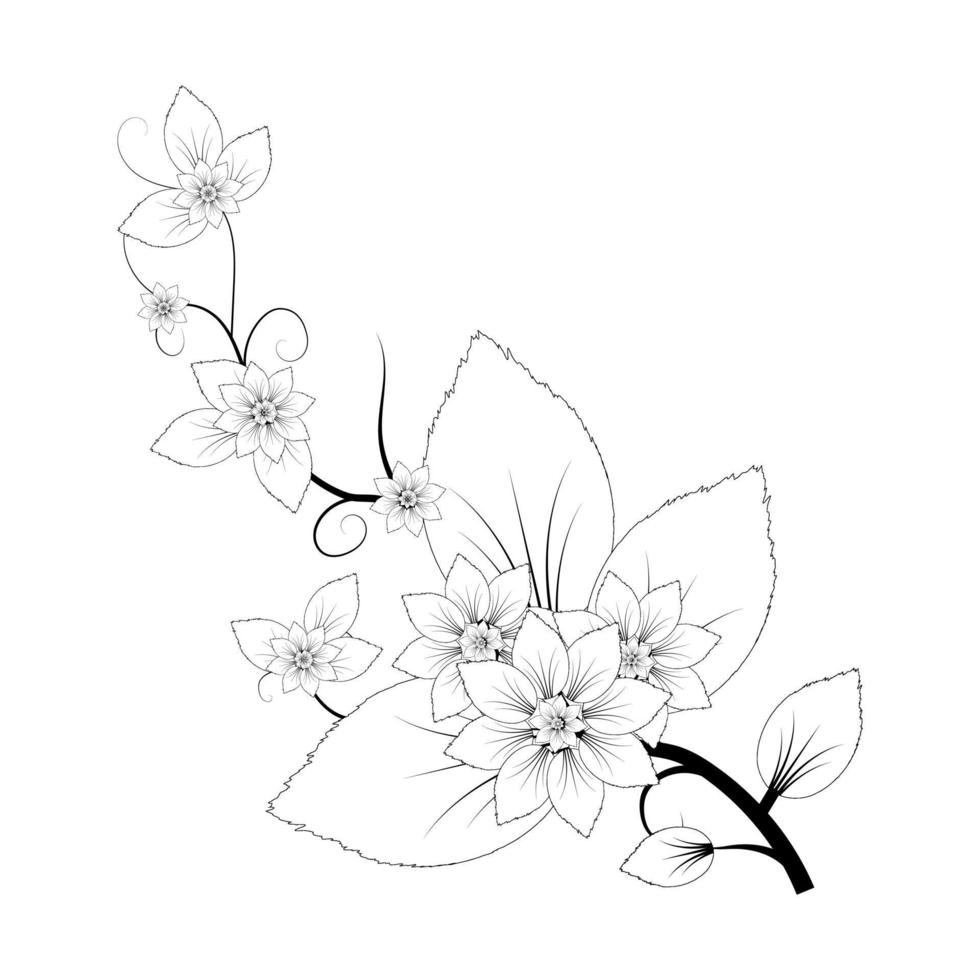 vektor blommig illustration svart och vit blomma jasmin på en vit bakgrund