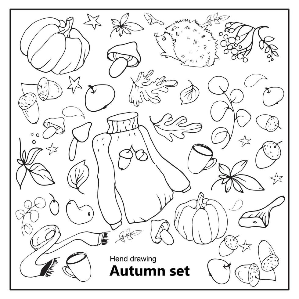 Vektor Herbst Set handgezeichnete Kritzeleien, schwarz und weiß, mit Blättern, Tieren, Kürbissen, Pilzen und anderen Objekten. isoliert auf weißem Hintergrund. Folge10