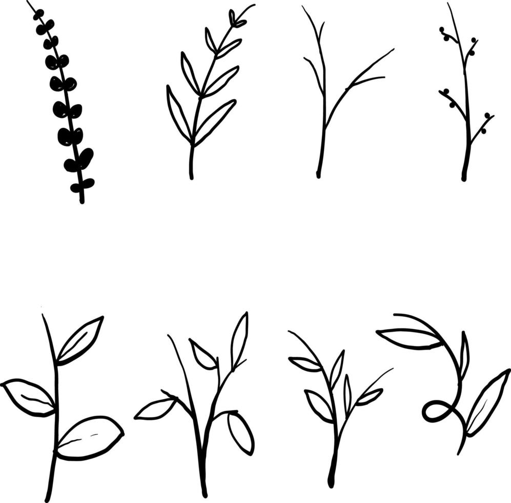 samling av vektor grenar och löv. handritade blommiga element. vintage botaniska illustrationer. vektor