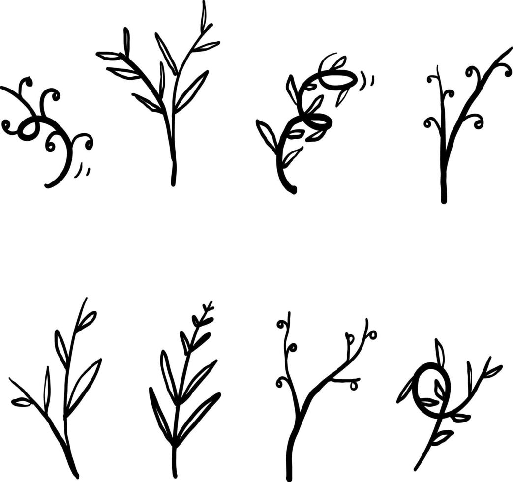 samling av vektor grenar och löv. handritade blommiga element. vintage botaniska illustrationer. vektor