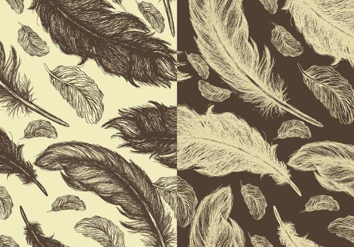 Seamless Handdragen Feather Vector Pattern Pack