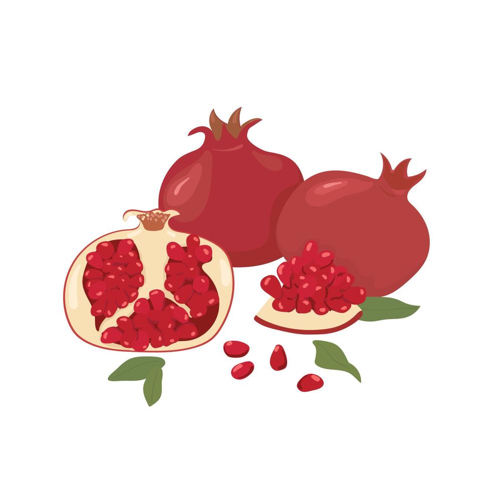 Granatapfel ganz und halb auf weißem Hintergrund. saftig frisches Obst. gesunde Ernährung. Vitamine. vektor