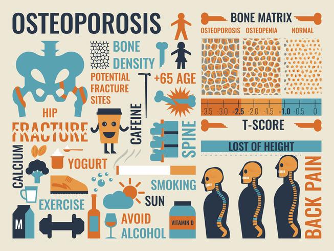 Osteoporose vektor