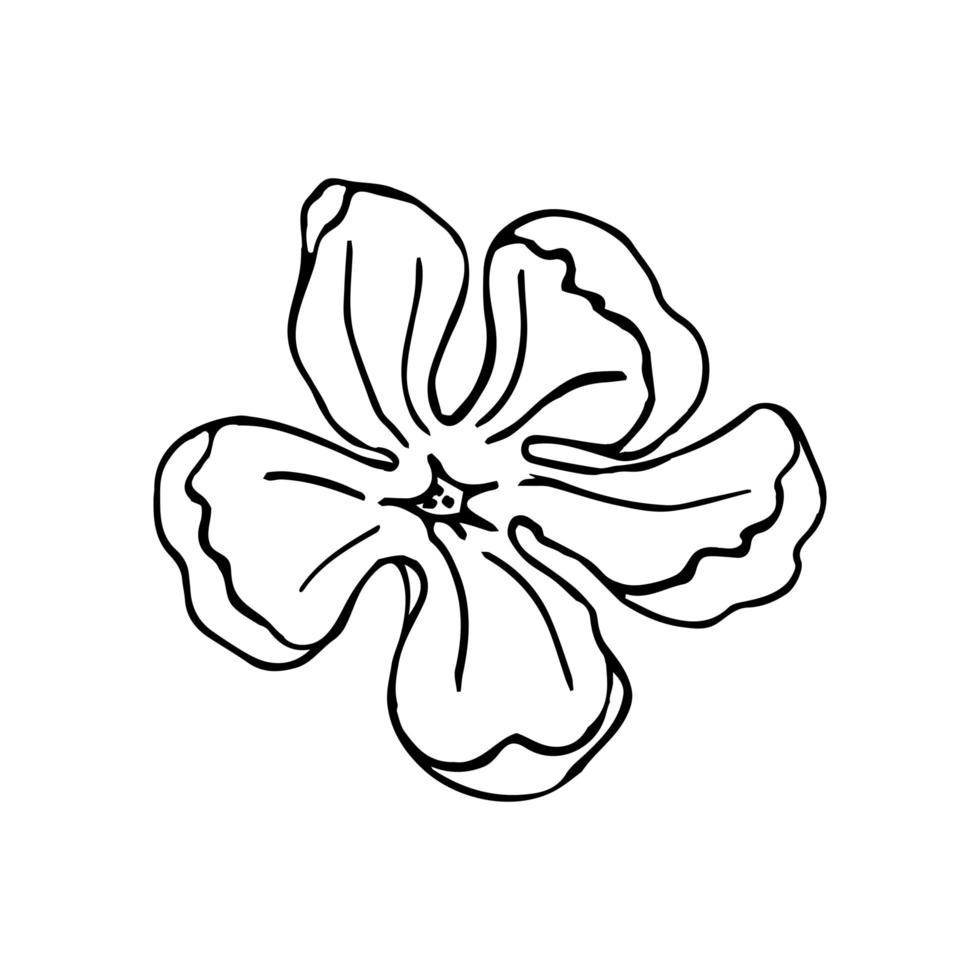 magnolienblüte, handgezeichnete elemente für die gestaltung der hochzeitskarte und einladen. isolieren auf weißem hintergrund vektor