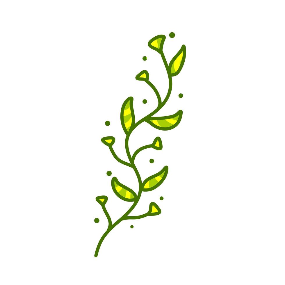 Zweig mit grünen Blättern. Pflanze und Baumteil. flache karikaturillustration lokalisiert auf weiß. Symbol für Frische vektor